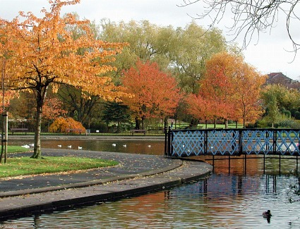 Victoria Park and Fossil Grove